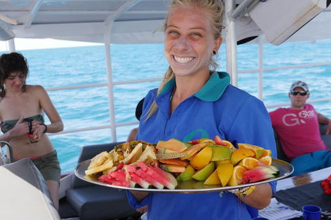 Ocean Free Green Island & Great Barrier Reef Snorkel Cruise, Cairns 25 Guests - Accommodation Gold Coast 1