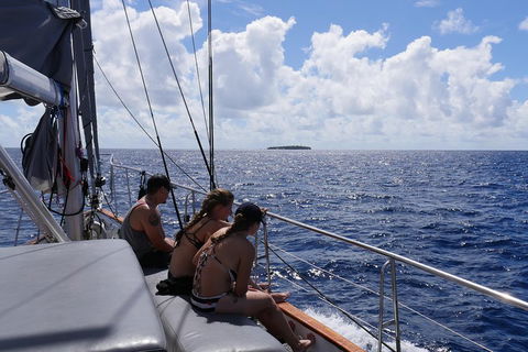 Ocean Free Green Island & Great Barrier Reef Snorkel Cruise, Cairns 25 Guests - Accommodation Gold Coast 4