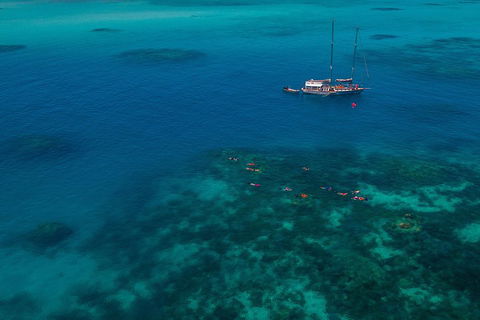Ocean Free Green Island & Great Barrier Reef Snorkel Cruise, Cairns 25 Guests - Accommodation Gold Coast 5