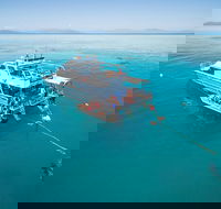 Ocean Freedom Great Barrier Reef Personal Luxury Snorkel  Dive Cruise Cairns - Accommodation Gold Coast