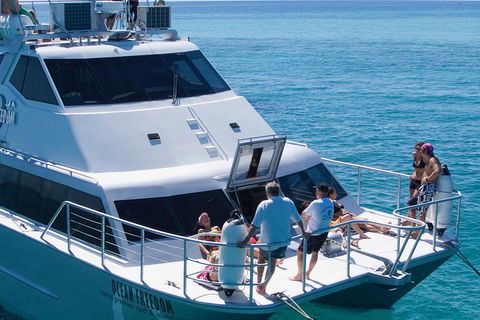 Ocean Freedom Great Barrier Reef Personal Luxury Snorkel & Dive Cruise, Cairns - Accommodation Gold Coast 1