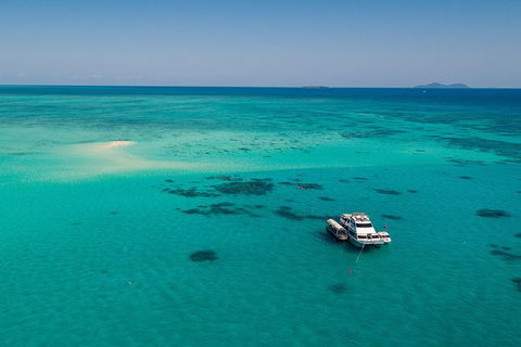 Ocean Freedom Great Barrier Reef Personal Luxury Snorkel & Dive Cruise, Cairns - Accommodation Gold Coast 2