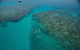 Ocean Freedom Great Barrier Reef Personal Luxury Snorkel & Dive Cruise, Cairns - thumb 3