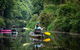 Byron Bay Rainforest Fishing - thumb 0