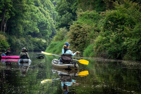 Byron Bay Rainforest Fishing - Accommodation Gold Coast 0