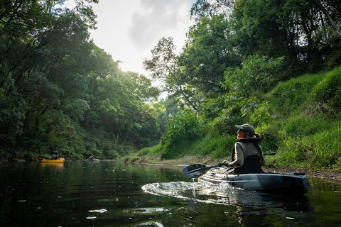 Byron Bay Rainforest Fishing - Accommodation Gold Coast 1