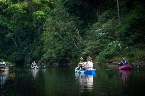 Byron Bay Rainforest Fishing - Accommodation Gold Coast 2