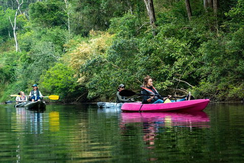 Byron Bay Rainforest Fishing - Accommodation Gold Coast 4