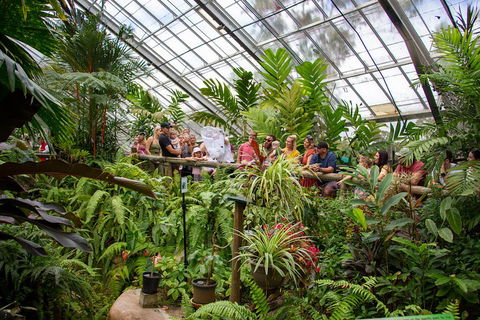 Australian Butterfly Sanctuary - Accommodation Gold Coast 0