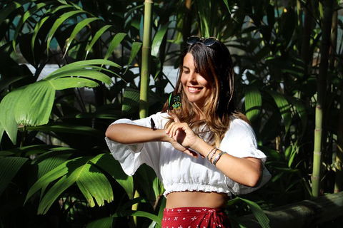 Australian Butterfly Sanctuary - Accommodation Gold Coast 1