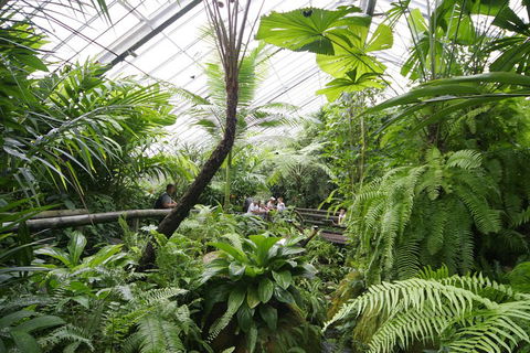Australian Butterfly Sanctuary - Accommodation Gold Coast 3