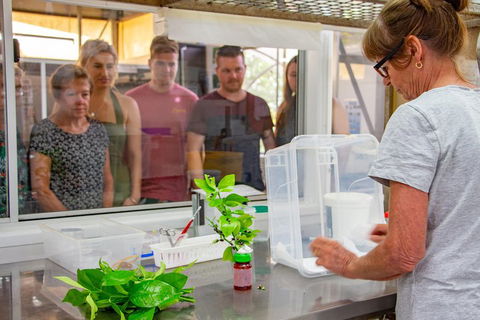 Australian Butterfly Sanctuary - Accommodation Gold Coast 5