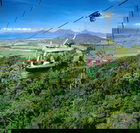 Best of Kuranda Including Skyrail Kuranda Scenic Railway and Rainforestation - Accommodation Gold Coast