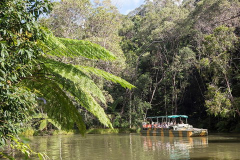 Best Of Kuranda Including Skyrail, Kuranda Scenic Railway And Rainforestation - Accommodation Gold Coast 5