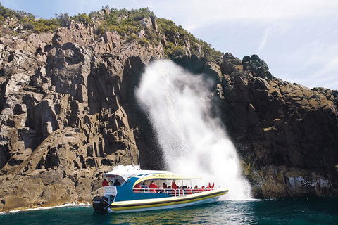3-Hour Bruny Island Cruise From Adventure Bay, Bruny Island - Accommodation Gold Coast 5