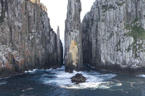 Tasman Island Cruises And Port Arthur Historic Site Day Tour From Hobart - Accommodation Gold Coast 2