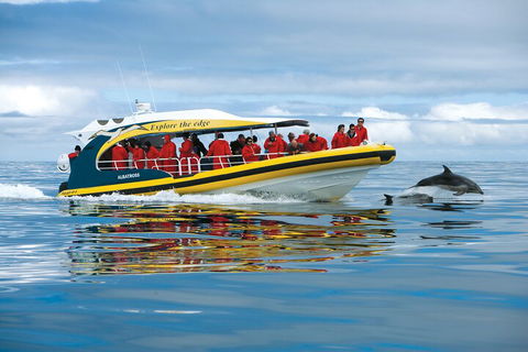 Tasman Island Cruises And Port Arthur Historic Site Day Tour From Hobart - Accommodation Gold Coast 3