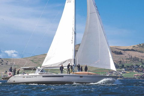 Half-Day Sailing On The Derwent River From Hobart - Accommodation Gold Coast 1