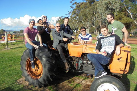 1/2 Day Swan Valley Wine Cheese & Chocolate Tour Inc Afternoon Cruise To Perth - Accommodation Gold Coast 1