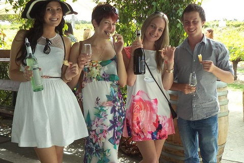 1/2 Day Swan Valley Wine Cheese & Chocolate Tour Inc Afternoon Cruise To Perth - Accommodation Gold Coast 4