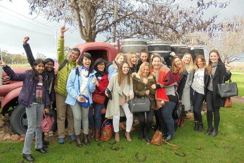 1/2 Day Swan Valley Wine Cheese & Chocolate Tour Inc Afternoon Cruise To Perth - Accommodation Gold Coast 5