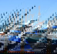 One Day Port Lincoln Tour - Tasting Eyre - Accommodation Gold Coast