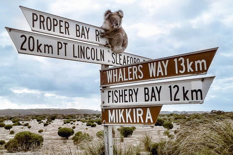 One Day Port Lincoln Tour - Tasting Eyre - Accommodation Gold Coast 2