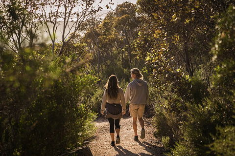 One Day Port Lincoln Tour - Tasting Eyre - Accommodation Gold Coast 5
