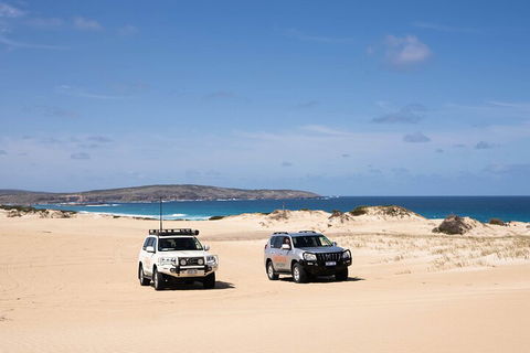 3 Day Port Lincoln And Coffin Bay Private Tour - Accommodation Gold Coast 0
