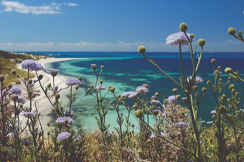 Rottnest Island Full-Day Trip With Guided Island Tour From Perth - Accommodation Gold Coast 2