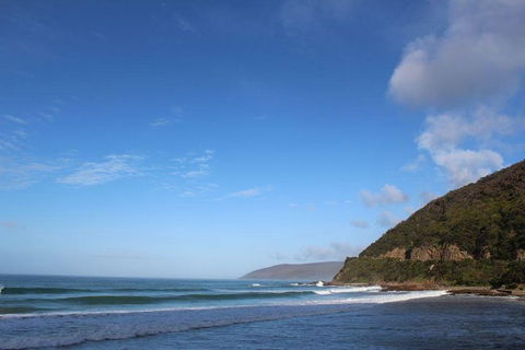 Private Great Ocean Road Day Tour With Early Departure & Early Return (11 Hours) - Accommodation Gold Coast 3