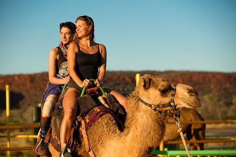 4 Day/3 Night Perentie Dreaming Safari - Accommodation Gold Coast 4