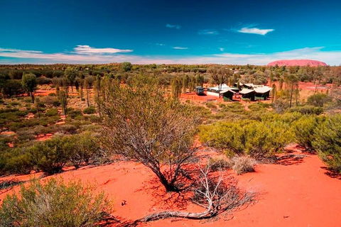 Overnight Uluru (Ayers Rock) Small-Group Camping Tour - Accommodation Gold Coast 2