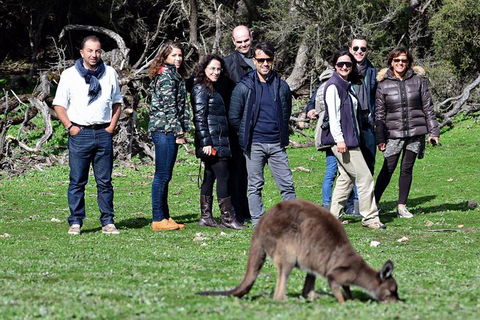 2-Day Kangaroo Island 4WD Small-Group Tour From Adelaide - Accommodation Gold Coast 1
