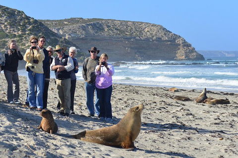 2-Day Kangaroo Island 4WD Small-Group Tour From Adelaide - Accommodation Gold Coast 3
