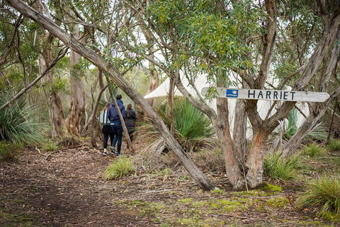 2-Day Kangaroo Island 4WD Small-Group Tour From Adelaide - Accommodation Gold Coast 5