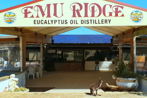 2 Day Ultimate Kangaroo Island With Return Ferry - Accommodation Gold Coast 3
