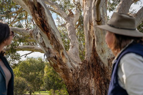 NEW TOUR - Kangaroo Island Road To Recovery Tour (1 Day/1 Night) - Accommodation Gold Coast 0