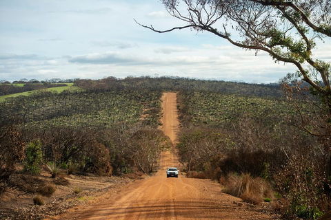 NEW TOUR - Kangaroo Island Road To Recovery Tour (1 Day/1 Night) - Accommodation Gold Coast 2