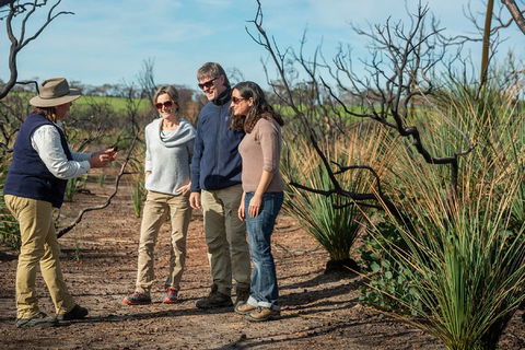 NEW TOUR - Kangaroo Island Road To Recovery Tour (1 Day/1 Night) - Accommodation Gold Coast 4