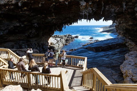 Full Day Flinders Chase Tour From Kangaroo Island - Accommodation Gold Coast 1
