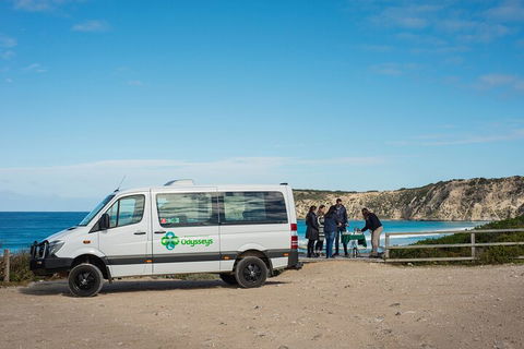 Full Day Flinders Chase Tour From Kangaroo Island - Accommodation Gold Coast 3