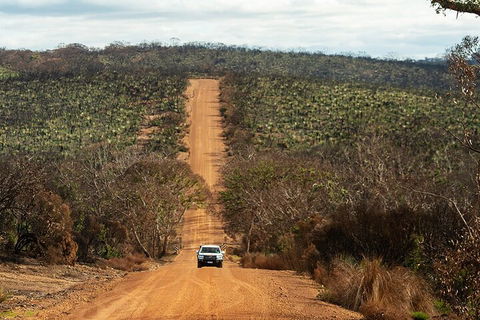 Full Day Flinders Chase Tour From Kangaroo Island - Accommodation Gold Coast 4