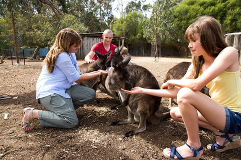 Full-Day Kangaroo Island Experience Departing From Kangaroo Island - Accommodation Gold Coast 5