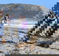 Full day Seal Bay Experience departing from Kangaroo Island - Accommodation Gold Coast
