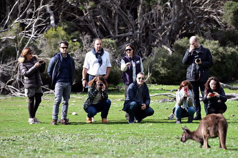 Small-Group Kangaroo Island 4WD Tour From Adelaide - Accommodation Gold Coast 2