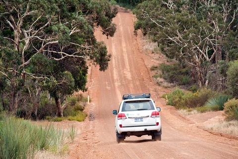 Small-Group Kangaroo Island 4WD Tour From Adelaide - Accommodation Gold Coast 3