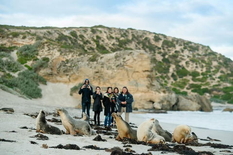 Small-Group Kangaroo Island 4WD Tour From Adelaide - Accommodation Gold Coast 4