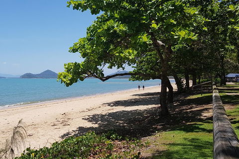 Small-Group Afternoon Cairns City Tour With Harbour Dinner Cruise - Accommodation Gold Coast 1