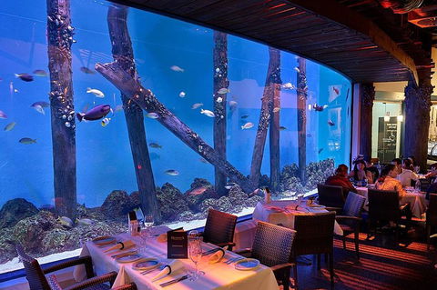 Cairns Aquarium And Small Group City Sightseeing Tour - Accommodation Gold Coast 4